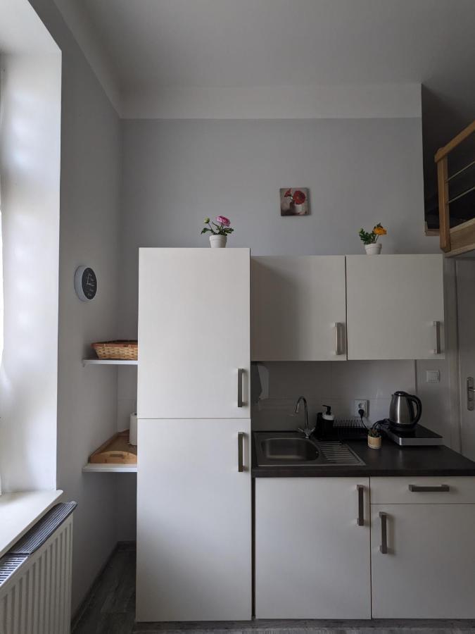 Studio W Sercu Miasta Przemyśl 外观 照片