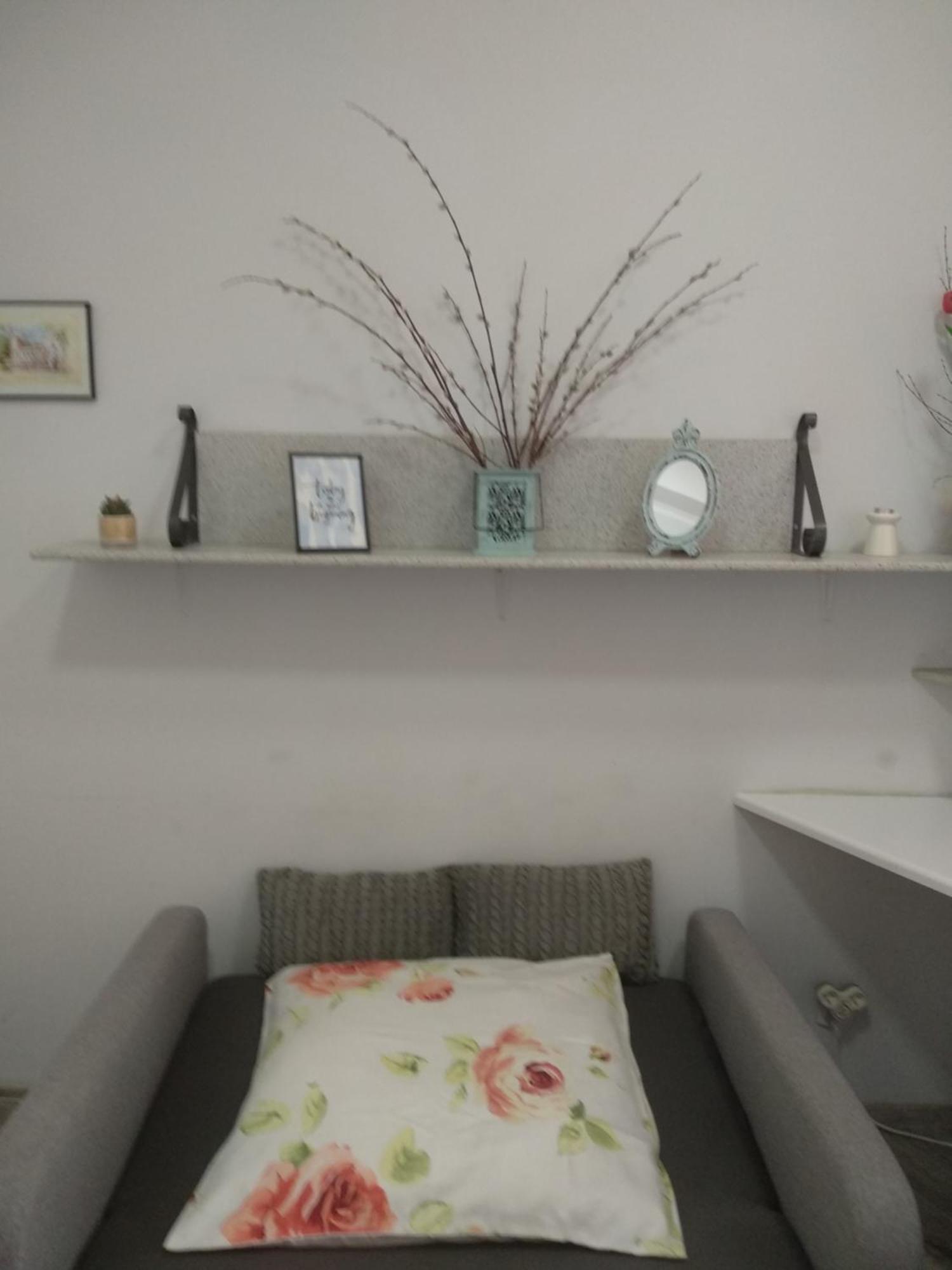 Studio W Sercu Miasta Przemyśl 外观 照片